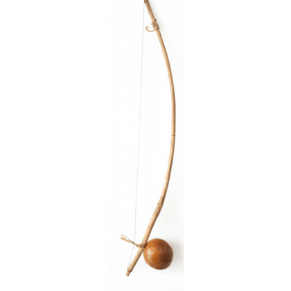 Berimbau Adulto Brinkar+