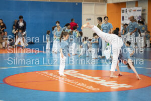 25 11 Brinkar+Capoeira e Silmara Luz Fotografia-77